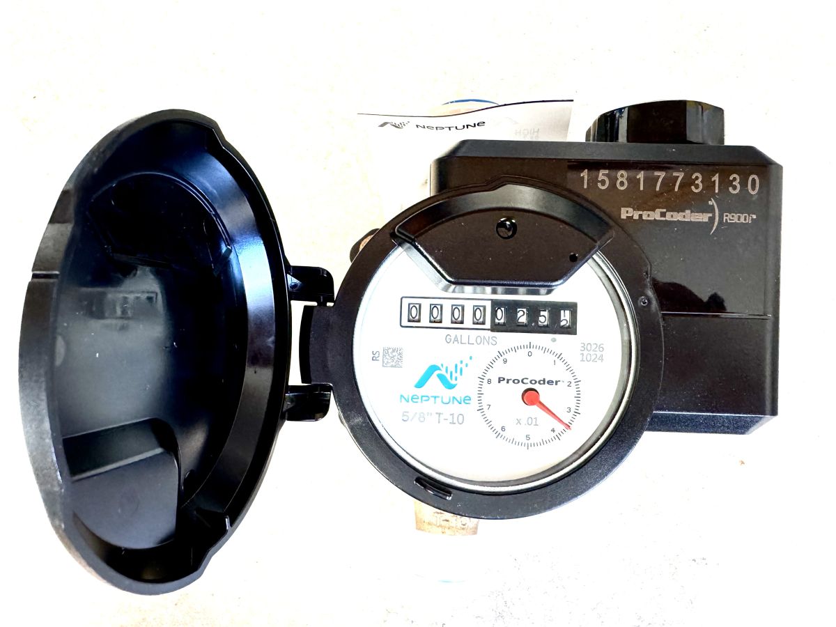 Neptune Meter Face